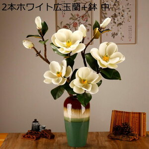  lHϗtA  Lʗ ͂Ȃ  lH CeA Z~bNԕrt    G u IuWF fUC  ԑZbg ̓ ̓ GKg 킢