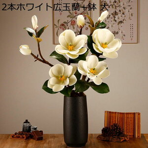  lHϗtA  Lʗ ͂Ȃ  lH CeA Z~bNԕrt    G u IuWF fUC  ԑZbg ̓ ̓ GKg 킢