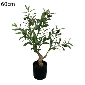 tFCNO[ lHϗtA 60cm ^ A hE_ccW X GgX c Ή E P  ze [ tFCN A CeA vX`bN b