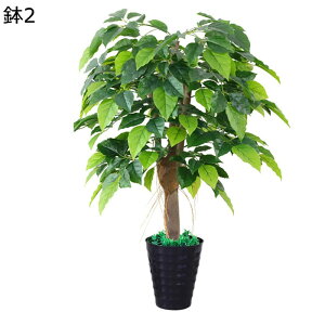 tFCNO[ K̖ hZi }bTQAi lHϗtA lHϗt ϗtA tFCN  t  ItBX JXj 160cm 150cm ȒP sv Q̐SzȂ 