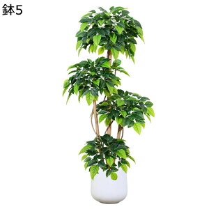 tFCNO[ K̖ hZi }bTQAi lHϗtA lHϗt ϗtA tFCN  t  ItBX JXj 160cm 150cm ȒP sv Q̐SzȂ 
