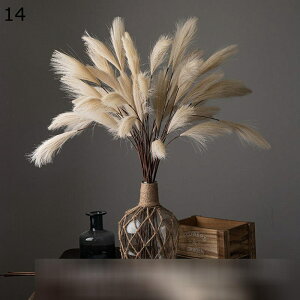  10 5{/10{ V XXL   u mfBbN  mfBbN ԕr N  v[       k ins 80cm sN CG[ p[v p[eB[̌
