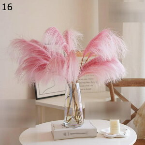  10 5{/10{ V XXL   u mfBbN  mfBbN ԕr N  v[       k ins 80cm sN CG[ p[v p[eB[̌