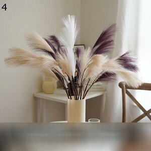  10 5{/10{ V XXL   u mfBbN  mfBbN ԕr N  v[       k ins 80cm sN CG[ p[v p[eB[̌