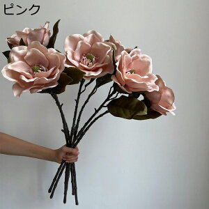  CeA ԑ 3{Zbg  p[eB[ Be p z[ 뉀 Lb` ItBX i p[eB[  lHA ϏܐA v[g z[K[f A sv 