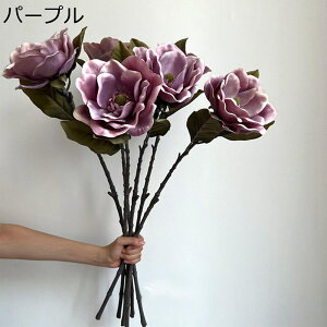  CeA ԑ 3{Zbg  p[eB[ Be p z[ 뉀 Lb` ItBX i p[eB[  lHA ϏܐA v[g z[K[f A sv 