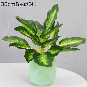 tFCNO[ x_[  lHϗtA tFCNO[ 1_Zbg  A 傭΂ϗtA AtFCN  INS  G} ϗtA ~j  AXE