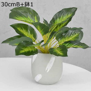 tFCNO[ x_[  lHϗtA tFCNO[ 1_Zbg  A 傭΂ϗtA AtFCN  INS  G} ϗtA ~j  AXE