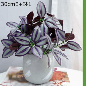 tFCNO[ x_[  lHϗtA tFCNO[ 1_Zbg  A 傭΂ϗtA AtFCN  INS  G} ϗtA ~j  AXE