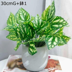 tFCNO[ x_[  lHϗtA tFCNO[ 1_Zbg  A 傭΂ϗtA AtFCN  INS  G} ϗtA ~j  AXE