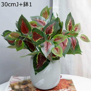 tFCNO[ x_[  lHϗtA tFCNO[ 1_Zbg  A 傭΂ϗtA AtFCN  INS  G} ϗtA ~j  AXE