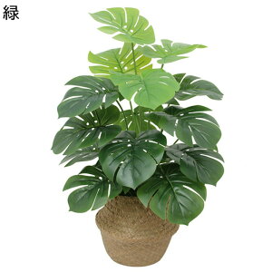 ~j CeAO[ 18{ 70cm  ϗtA 킢 tFCNO[ CeAO[ lHϗtA ܂邢 G} O[ [J  ҂݃|bg ItBX̏ 