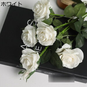 sIj[  ͂Ȃ   t[ ԑ CeA 6{ A[gt[ VN j a ̓ sN tFCNt[ Mtg ֏   X iX ֏ 