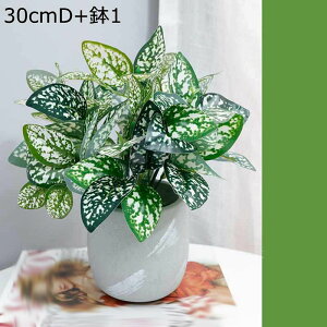 tFCNO[ x_[  lHϗtA tFCNO[ 1_Zbg  A 傭΂ϗtA AtFCN  INS  G} ϗtA ~j  AXE