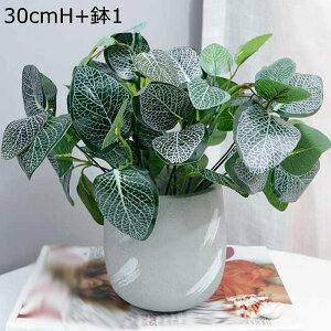 tFCNO[ x_[  lHϗtA tFCNO[ 1_Zbg  A 傭΂ϗtA AtFCN  INS  G} ϗtA ~j  AXE