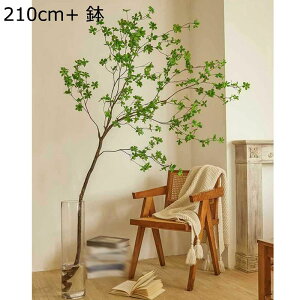 lHϗtA tFCN ^ tFCNO[  lH k tFCNA 150CM CeA  O sv ͂Ȃ lH ϗtA hE_ccWilHj tFCNO[