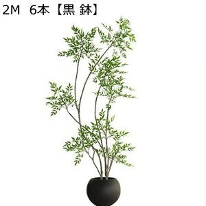 tFCNO[ [K KW} CeAO[ ^Ηt A lHϗtA { lHA ϗt lHt bsv ͂ȂO[ FBɑ A