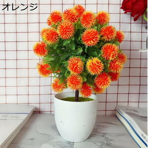 lHA Ȃ ~͒u Ũx_[̉ ͑~͑i U̔A lHvX`bN̐A vX`bN̉Ԃ̖~  u 蕨 ItBX sN I[ig i 