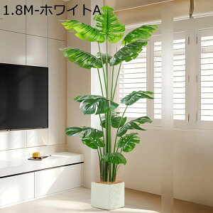 lH ϗtA 180cm Tw| Xe tFCNO[ G} tFCN ^ tFCNO[  lH k tFCNA CeA  O sv ͂Ȃ lH t