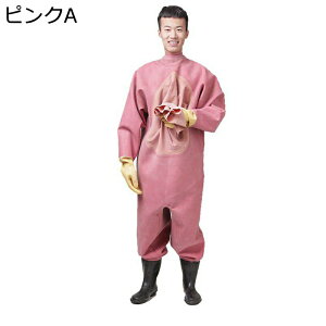 EF[_[ Sg^Cv hC WA\[  ނpX[c hY{ tBbVOEF[_[ k C NX d ނ  _ AJ R h J cA Y 