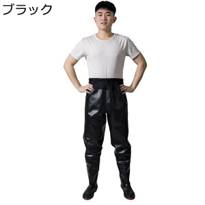 EGXgEF[_[ ނX[c C ~ hY{  h _ y Cu[c WA  s Y   C  h qbvEF[_[ ȒPE _ AJ