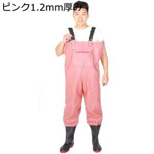 `FXgnCEF[_[ tC ނX[c ߉\ hY{ Cu[c WA Ȃ Ȃ ƌC ƒ CV[Y ϖ ȒPE tBbVO cd Ɨp 