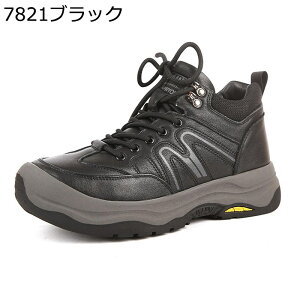 p Xm[u[c nCLOu[c Y {At ܐی E[ oRC ȌC [XAbv ΍ nCJbg  ₷ h Ȑ ~ EH[LO O 