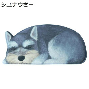 oX}bg 3D  C}bg ӂӂ ӂ ~ z k w\ ʋC ˂ނ˂ނ }CNt@Co[  ʏ Eߏ oX[ hL |e ێ