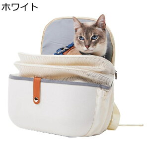 ybgL[obO y o֗ 萫  x[VbN 킢 dԈړ h hЊQp oobN Lp LL[obO