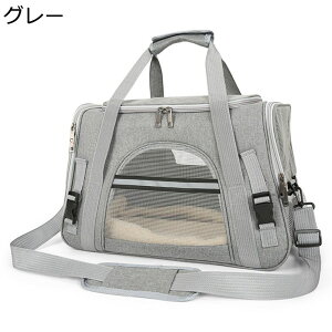 L[obOybg ʋC  gт₷ y x[VbN bV |xgt 킢 |Pbgt opi ʉ@ ʉ@p obObN Lp LpL[obO