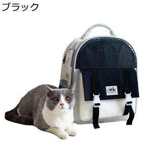  L[obO ybgp AEghA ł v obObN |Pbgt t Lp LpL[obO obO ʋC  gт₷  킢 