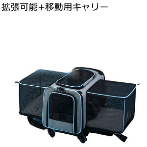 L[obO ybgp bV 萫 y ړpL[ g\ ʋC AEghA ł ʉ@ Lp LL[obO E^LE^Ep ŐV^  gт₷