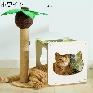 ؓo^[ R߂Ƃ ܂Ƃ L ybgpi ΍ MǑ΍ Vя ybgnEX |₷ Ȃ [֗ ʋC ʔN ې ڂ ȃXy[X XgX