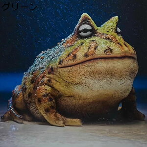 K[fI[ig JG ^ K[fjO K[f O̒u A  i h ϋv K[fG |pi CeA k  AEghA O