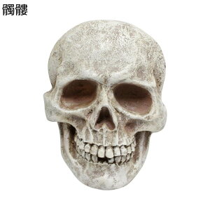 K[fjO Ǌ|  K[f O̒u nEB[ u h ϋv |G   CeA Ǐ x_ 뉀 AEghA Op