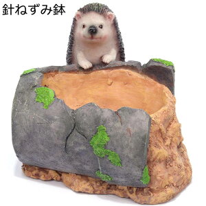 K[fjO nlY~  K[f u JCC    h ϋv K[fG |pi CeA AEghA x_ 뉀 ~jK[f Op