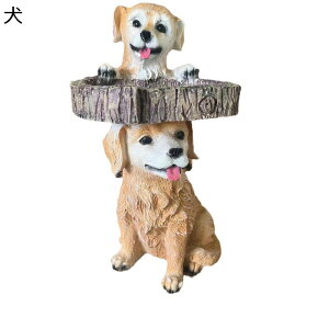 K[fjO   K[fIuWF u ̋a JCC b  I[ig  h ϋv K[fG   | CeA i O̒̑