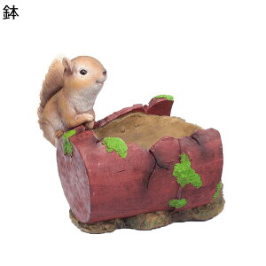 K[fjO X  K[f u   c  I[ig  h ϋv K[fG |pi CeAG   O  o Ki