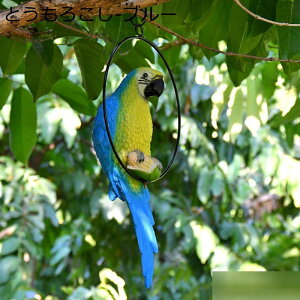 K[fI[ig IE K[f | 킢 _F K[fjO u h O |G CeA H|i x_ 뉀  O  Op