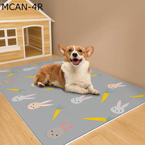 gC~}bg ybg}bg ybgΉ pvc  J[ybg ^  Lp􂦂ybgV[c gCV[c h   唻 @ P[Wp JԂp t[Jbg