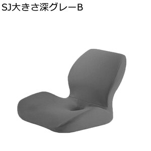 zc ⊴ NbV w ֎q  ɉP fXN[N T|[g ItBX I[V[Y ݑΖ Itې ӂӂ Vv n ͕U lԍHw NԎg