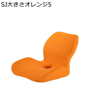 zc ⊴ NbV w ֎q  ɉP fXN[N T|[g ItBX I[V[Y ݑΖ Itې ӂӂ Vv n ͕U lԍHw NԎg