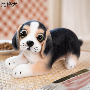 Ckʂ  NbV A   Ԃp  ӂӂ ӂ _炩 XgX j v[g \t@[ ʐ^ CeA NX}Xv[