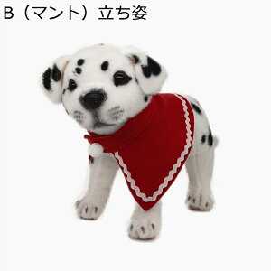 Ck  ʂ  NbV A   Ԃp  ӂӂ ӂ _炩 XgX j v[g \t@[ ʐ^ CeA NX}Xv