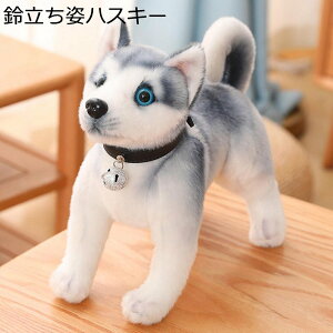 ̂ʂ  NbV A  킢  nXL[ Hc ObY C ӂ GG e _炩 bNX v[g NX}X a 