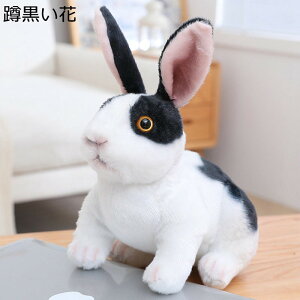 ETM̂ʂ  ETMl` N G GG ObY A ӂ _炩 ӂӂʂ ₳G bNX \t@[ 蕨 j xbh[