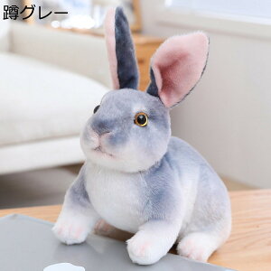 ETM̂ʂ  ETMl` N G GG ObY A ӂ _炩 ӂӂʂ ₳G bNX \t@[ 蕨 j xbh[