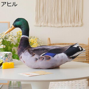 ʂ  A  Ƌ NbV NGCeBu QNbV D _炩 C { X \t@[ CeA ll av[g