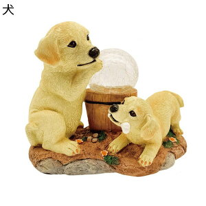 K[fjO  S[h K[f K[fu \[[Cg    I[ig  i h O Jg[G |pi CeA x_ Op