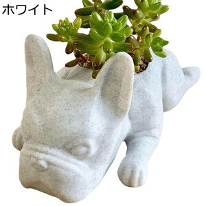 K[fjO uhbO  K[f O̒u JCC   i h ϋv |G CeA v[g Mtg i AEghA O̒̑